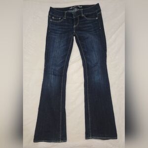 American Eagle Outfitters Blue Flare & Wide Leg Jeans